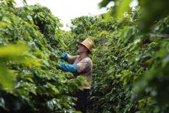 A audiência pública tem a finalidade de promover uma ação coletiva de usucapião rural para beneficiar 94 produtores locais com a titulação de propriedade das terras que atualmente ocupam.