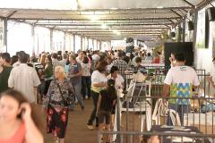 Perto de 12 mil pessoas passaram pelos estandes do “Paraná em Ação” realizado neste fim de semana (19 e 20/10) em Assis Chateaubriand.