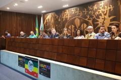 Defensoria participa de audiência pública sobre o Estatuto da Igualdade Racial.