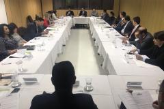Em meio a uma pauta extensa de discussões estavam possíveis projetos a serem aplicados na DPPR e a organização da XIV reunião ordinária, que será realizada em Curitiba no mês de março. 