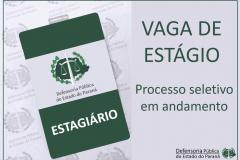 Estágio DPPR