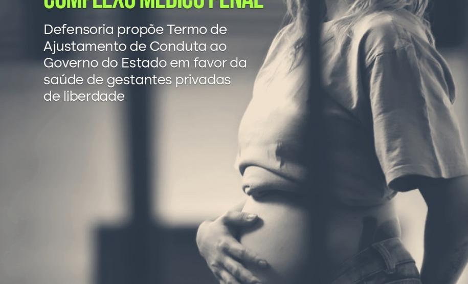 Mulher grávida em situação de privação de liberdade