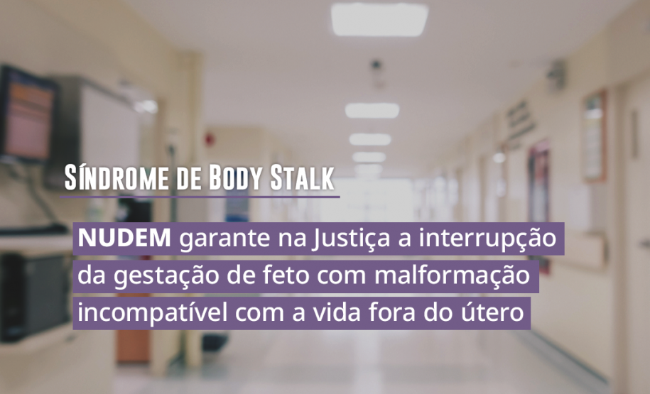 NUDEM garante na Justiça a interrupção da gestação de feto com malformação incompatível com a vida fora do útero