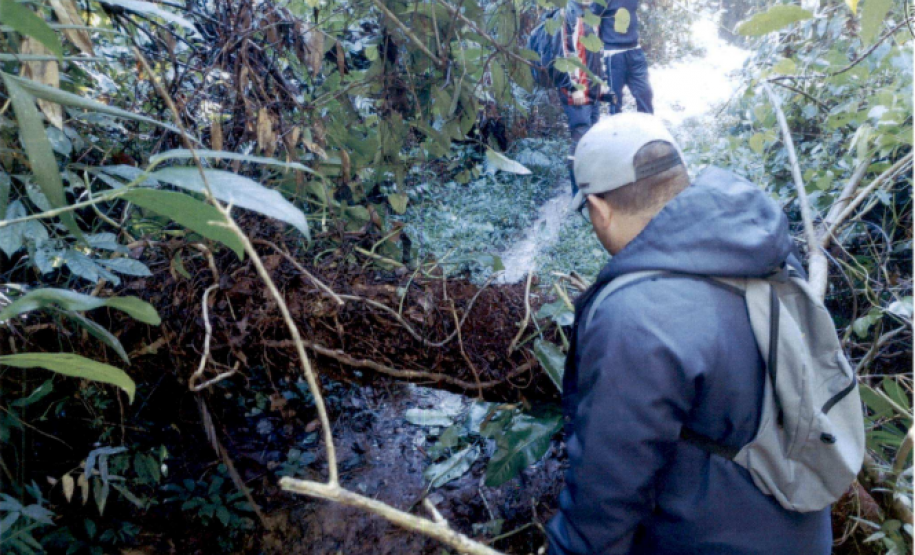 Imagem de trecho da trilha, o qual um tronco está caído, com um pequeno espaço para passagem embaixo dele. Na frente do tronco está um homem de costas. No entorno, tem um matagal alto.