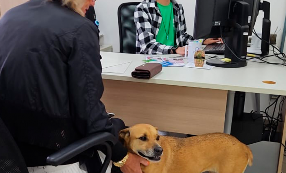 Imagem que mostra uma pessoa sendo atendida no mutirão. Ela está sentada em uma cadeira e acaricia um cachorro caramelo enquanto um atendente da DPE-PR consulta o computador.
