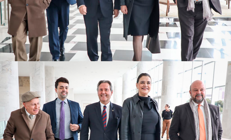 Imagem em formato de colagem onde mostra uma foto em cima da outra, tanto quanto na imagem superior e na inferior, são os profissionais do estado do Paraná caminhando e conversando.