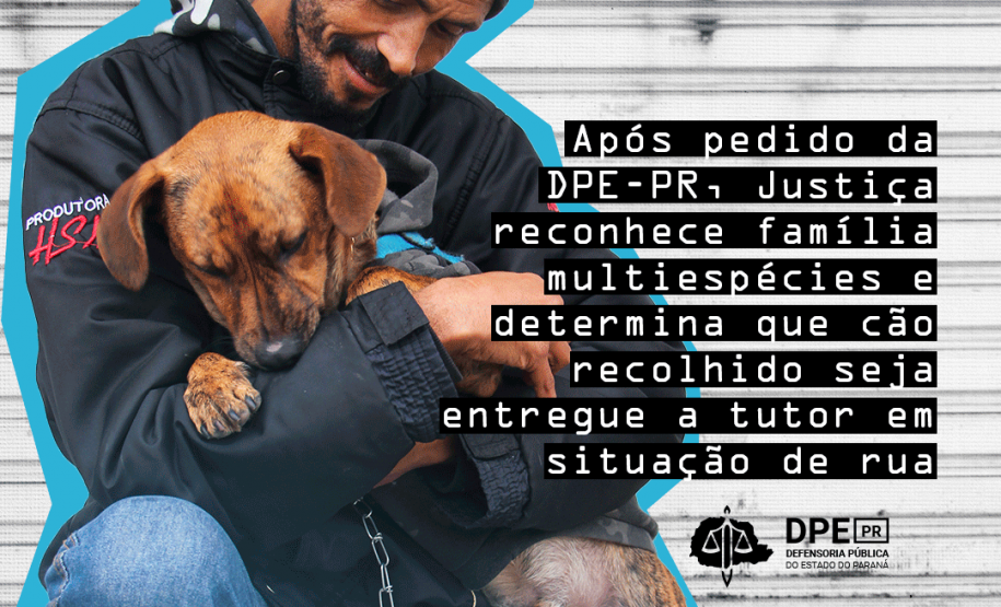 Imagem com foto do cãozinho Rock Merlini, de seis meses, vestindo blusa de moletom e corrente no pescoço, enquanto encara a câmera.