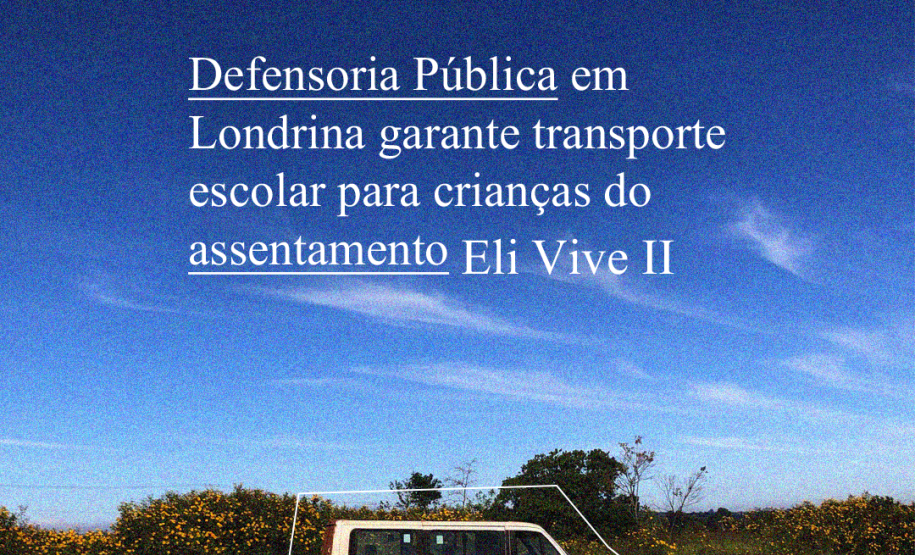 Imagem que mostra uma van escolar em meio à zona rural. Ela está estacionada ao lado de um campo com mato verde e flores amarelas. O chão é de terra vermelha, característica da região, e o céu está bem azul, com pequenas nuvens brancas. É possível ler o título da matéria sobre a imagem.