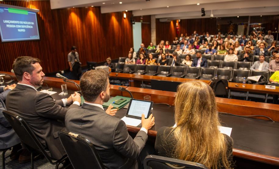 O DPG Matheus Munhoz e o coordenador do NUPED Luis Purgato aparecem de costas na mesa e ao fundo o público presente.