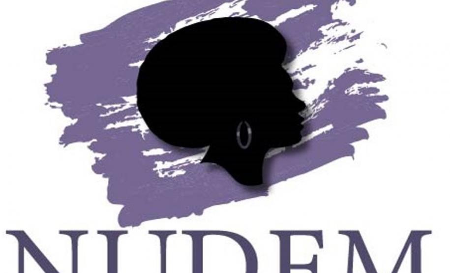 Nudem realiza mutirões de de atendimento a mulheres em situação de violência