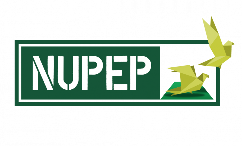 PESSOAS CONDENADAS A CUMPRIREM PENA EM REGIME SEMIABERTO SÃO PRESAS E CONDUZIDAS PARA CADEIAS, DIZ NUPEP.