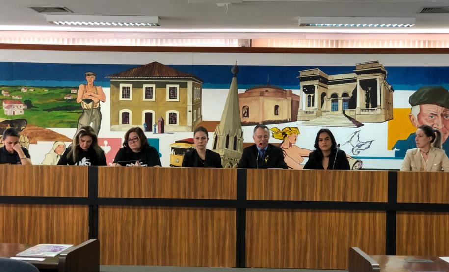 NUDEM compõe seminário de prevenção e enfrentamento à violência contra a mulher na Câmara Municipal.