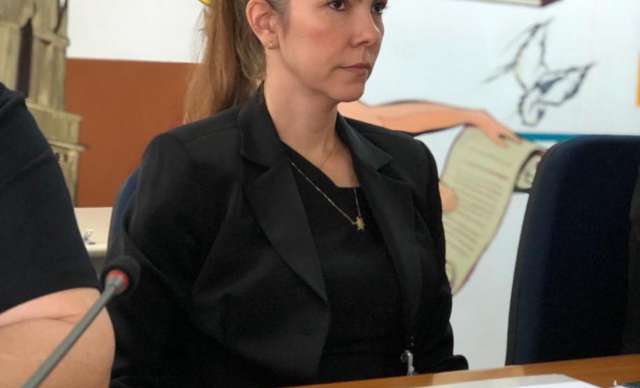 NUDEM compõe seminário de prevenção e enfrentamento à violência contra a mulher na Câmara Municipal.