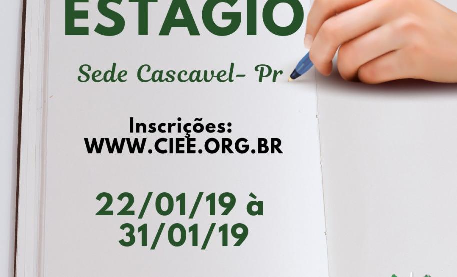 DPPR abre vaga de estágio para direito em Cascavel #LegendaAcessível: Na imagem vemos uma mão segurando uma caneta muito próxima a uma folha de papel, como se estivesse prestes a escrever algo. No canto superior esquerdo lê: ESTÁGIO Sede Cascavel - PR. Abaixo temos a seguinte descrição:"Inscrições: ww.ciee.org.br" , "22/01/2019 à 31/01/2019", "Requisitos: estudante de Direito a partir do quinto semestre". No canto inferior direito vemos a logo da DPPR.