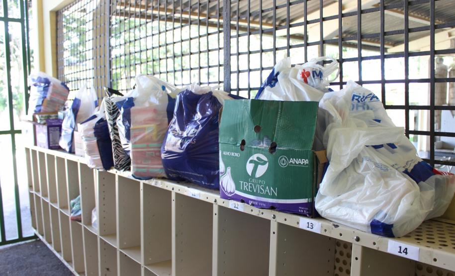 NUDEM realiza ações que esclarecem os direitos das mulheres