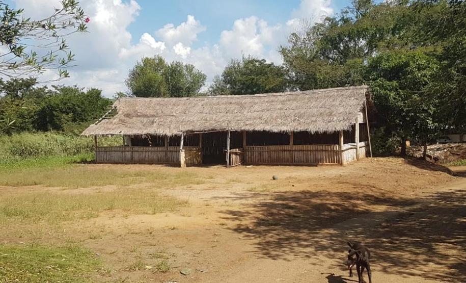 NUCIDH e Santa Amélia firmam TAC em benefício de terra indígena Uma parte da Terra Indígena.