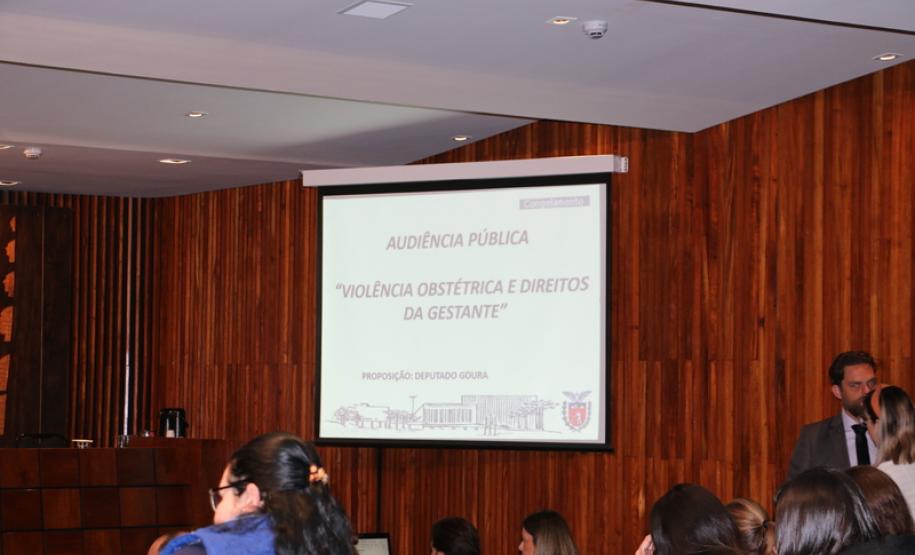 Coordenadora do NUDEM participa de audiência pública sobre violência obstétrica e direitos das gestantes Coordenadora do NUDEM participa de audiência pública sobre violência obstétrica e direitos das gestantes