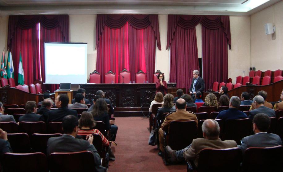 Na reunião com a Secretaria de Direitos Humanos da Presidência da República, a defensora pública Camille Vieira da Costa representou a DPPR e apresentou o plano de atuação proposto pela instituição.