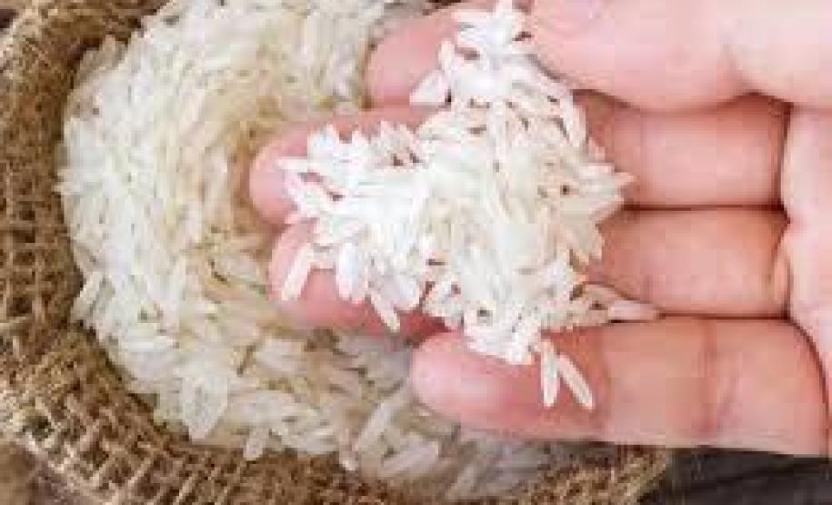 DPE-PR apoia campanha de arrecadação de arroz realizada pelo MPT-PR