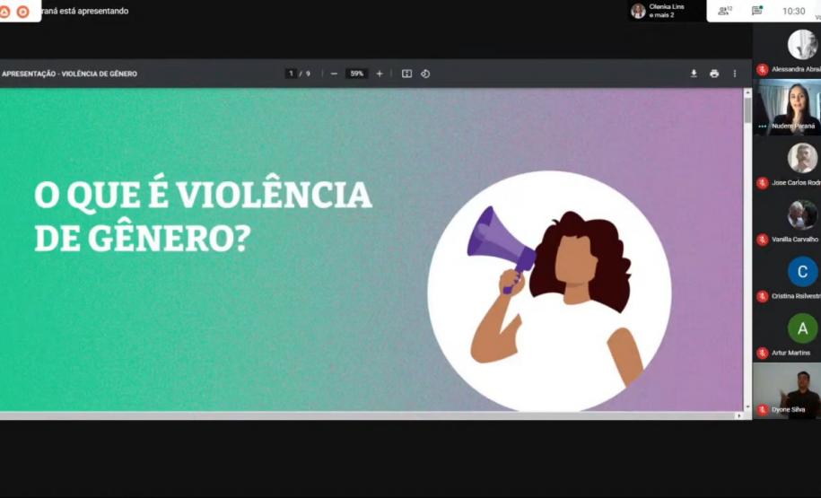 Solenidade virtual marca aliança entre DPE-PR, MMFDH e Procuradoria da Mulher da ALEP