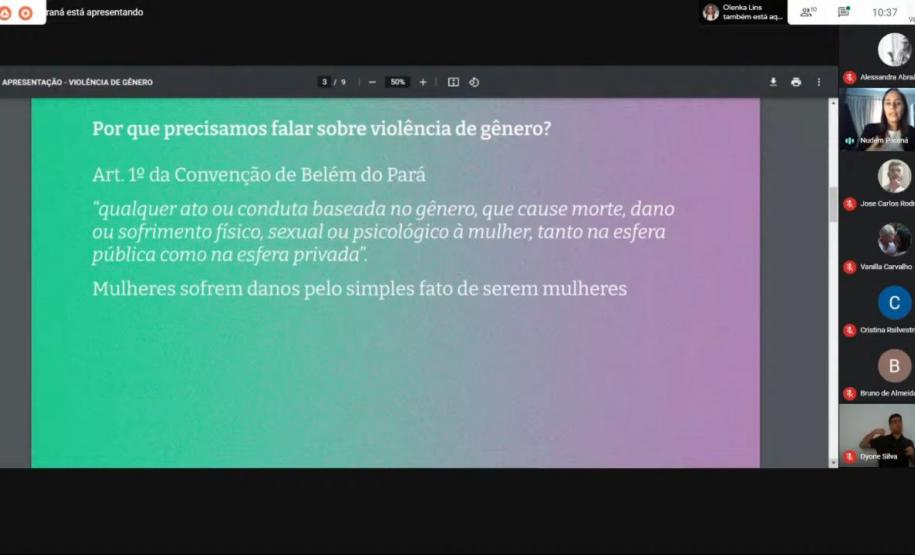 Solenidade virtual marca aliança entre DPE-PR, MMFDH e Procuradoria da Mulher da ALEP
