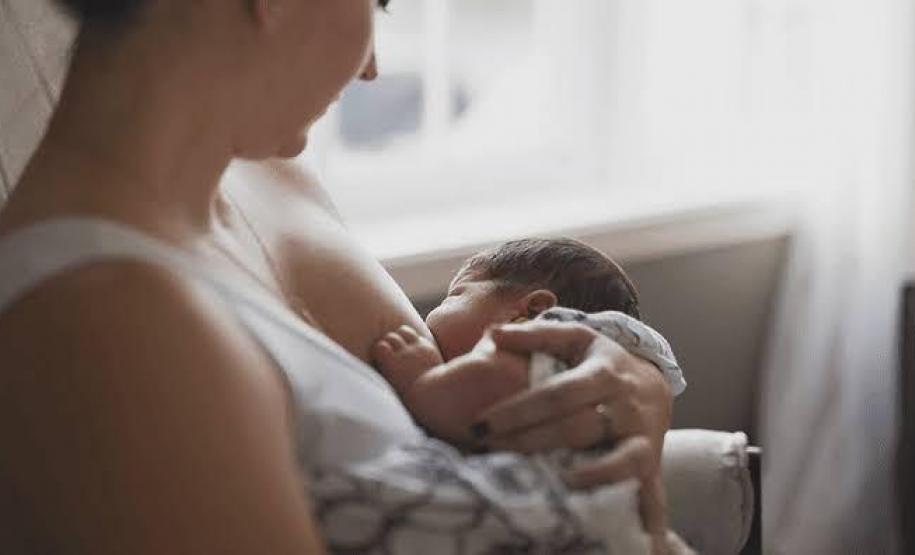DPE-PR aprova a criação da Política de Valorização da Maternidade e da Amamentação e de Proteção da Primeira Infância