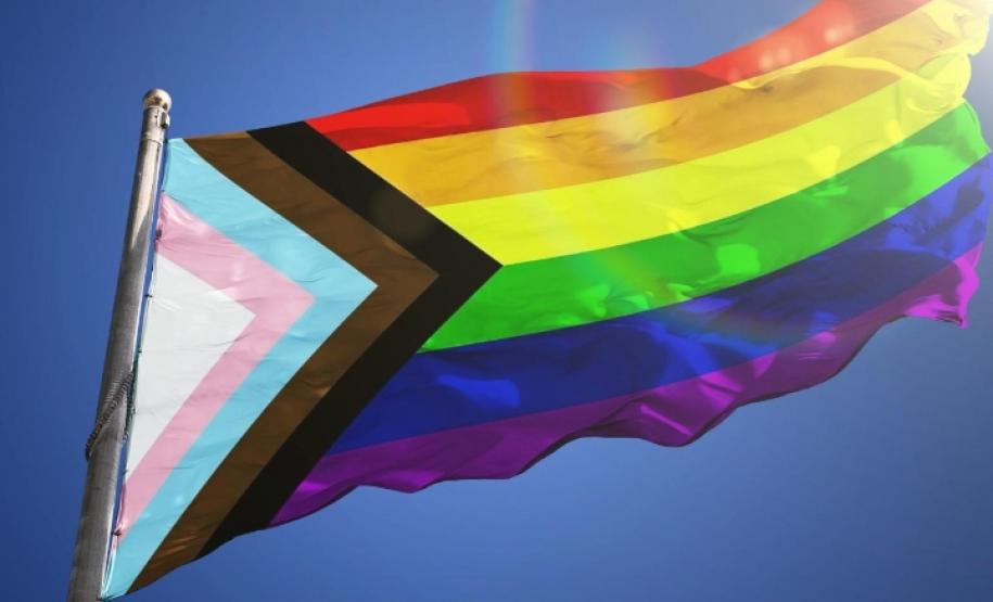 DPE-PR tem posicionamento acatado pelo órgão especial do TJ-PR em judicialização que visa proteção da comunidade LGBT.