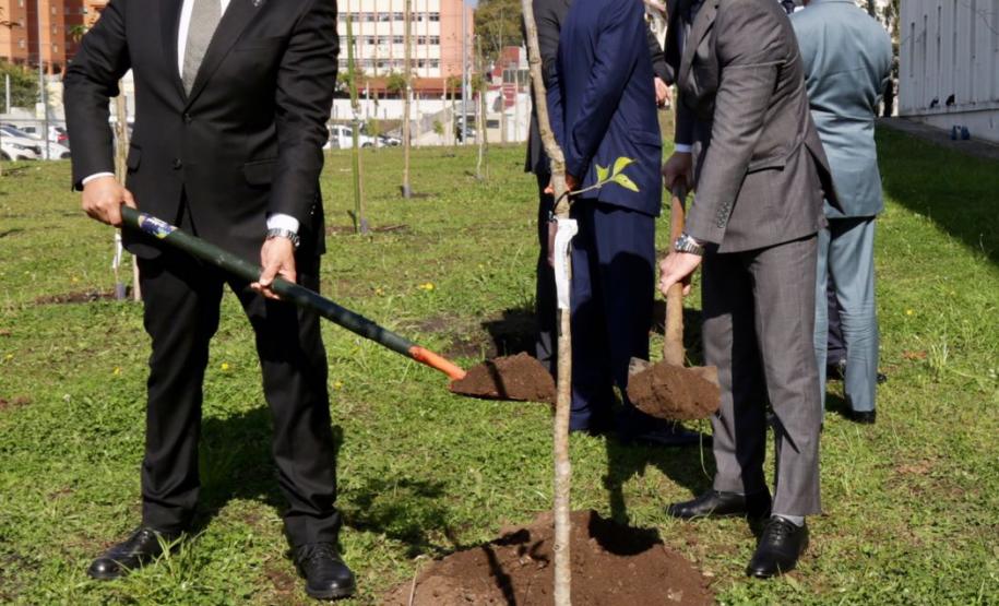 Rolê Ambiental