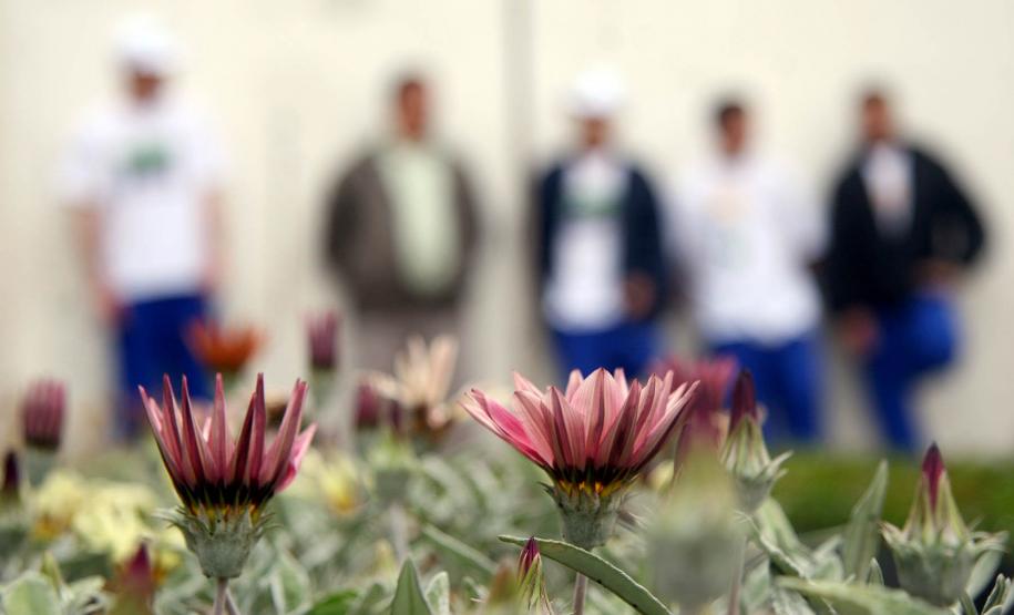 Internos do Centro de Socioeducação São Francisco, em Piraquara.
