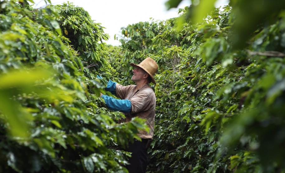 A audiência pública tem a finalidade de promover uma ação coletiva de usucapião rural para beneficiar 94 produtores locais com a titulação de propriedade das terras que atualmente ocupam.